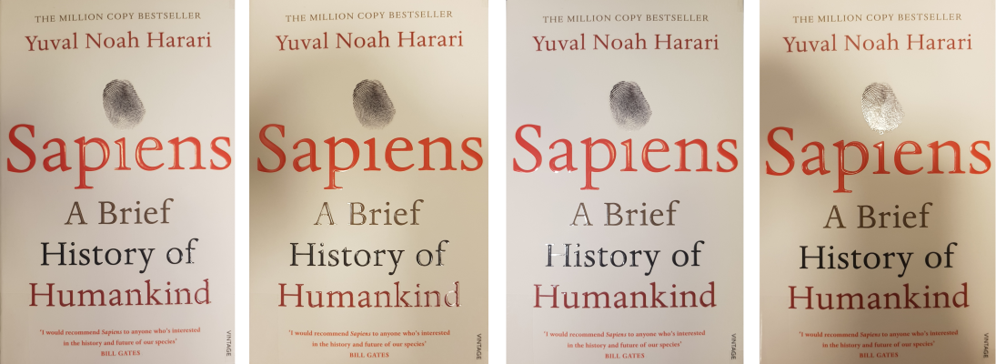 Sapiens manual cover images